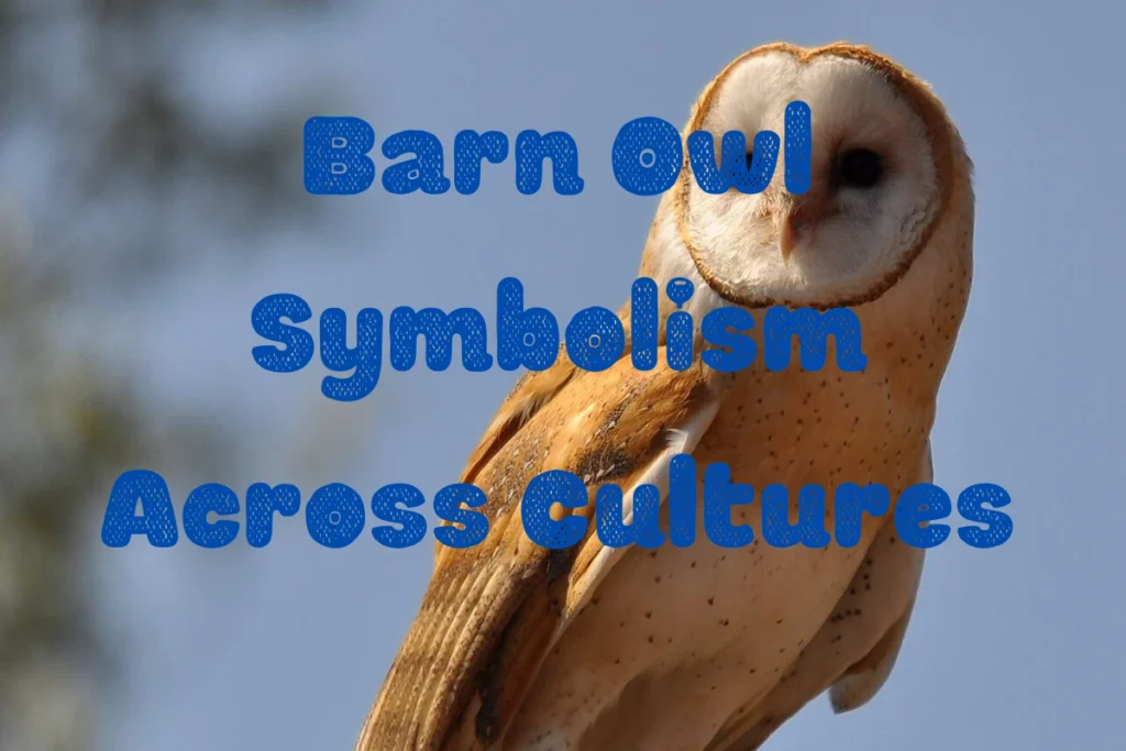 barn-owl-symbolism-cultures