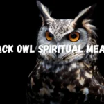 Black Owl Spiritual Meaning: What This Rare Sign Is Trying to Tell You black-owl-spiritual-meaning