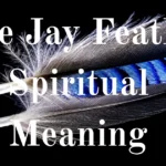 Blue Jay Feather Spiritual Meaning