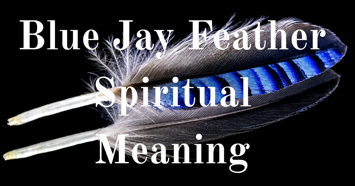 Blue Jay Feather Spiritual Meaning