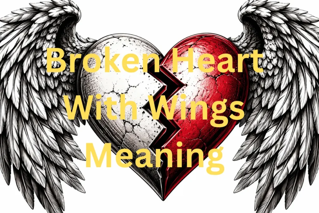 broken-heart-with-wings-meaning