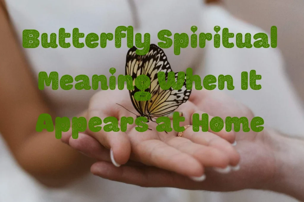 butterfly-at-home-meaning
