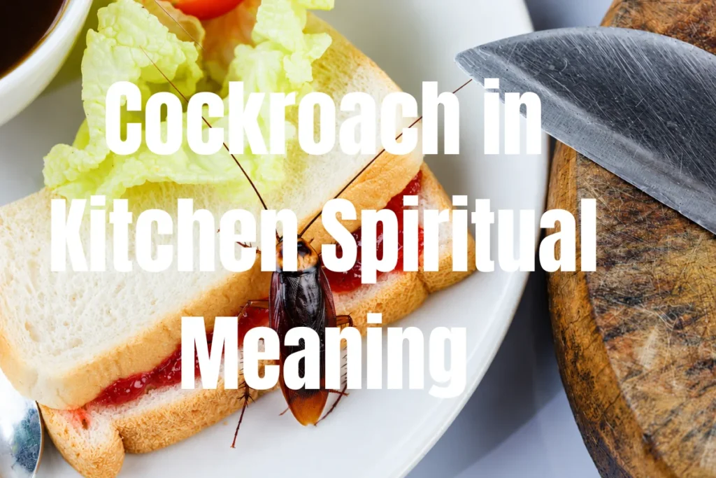 cockroach-in-kitchen-spiritual-meaning