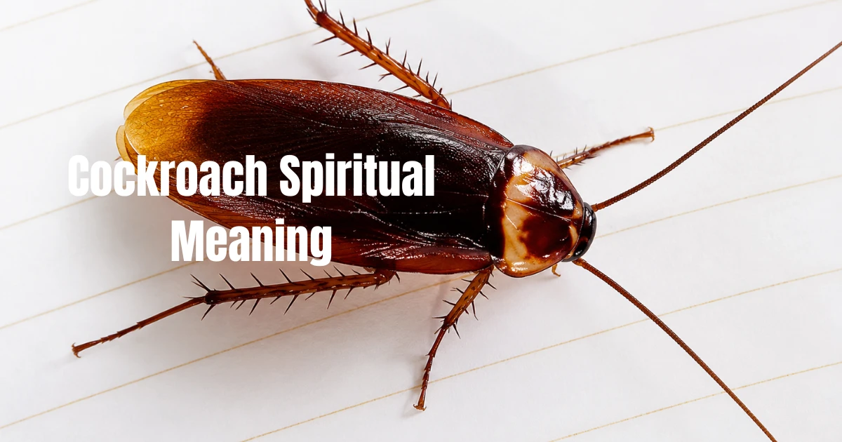 cockroach-spiritual-meaning