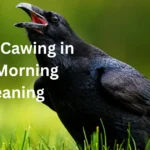 Crows Cawing in the Morning Meaning: Spiritual Signs & Symbolism crows-cawing-in-the-morning-meaning