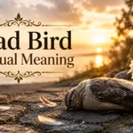 dead-bird-meaning