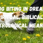 Dog Biting in Dream: Spiritual, Biblical & Astrological Meaning dog-biting-in-spirituall-meaning