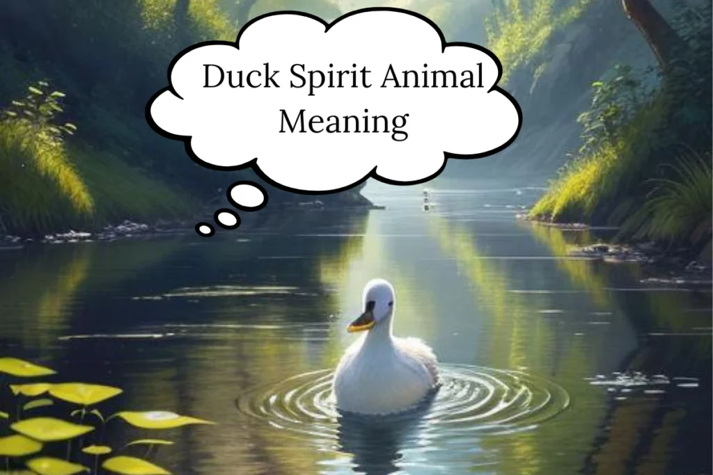 duck-spirit-animal-meaning
