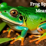 Frog Spiritual Meaning: Symbolism, Dreams, Luck & Signs Explained frog-spiritual-meaning