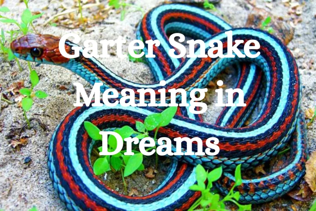 garter-snake-meaning-in-dreams