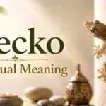 gecko-spiritual-meaning