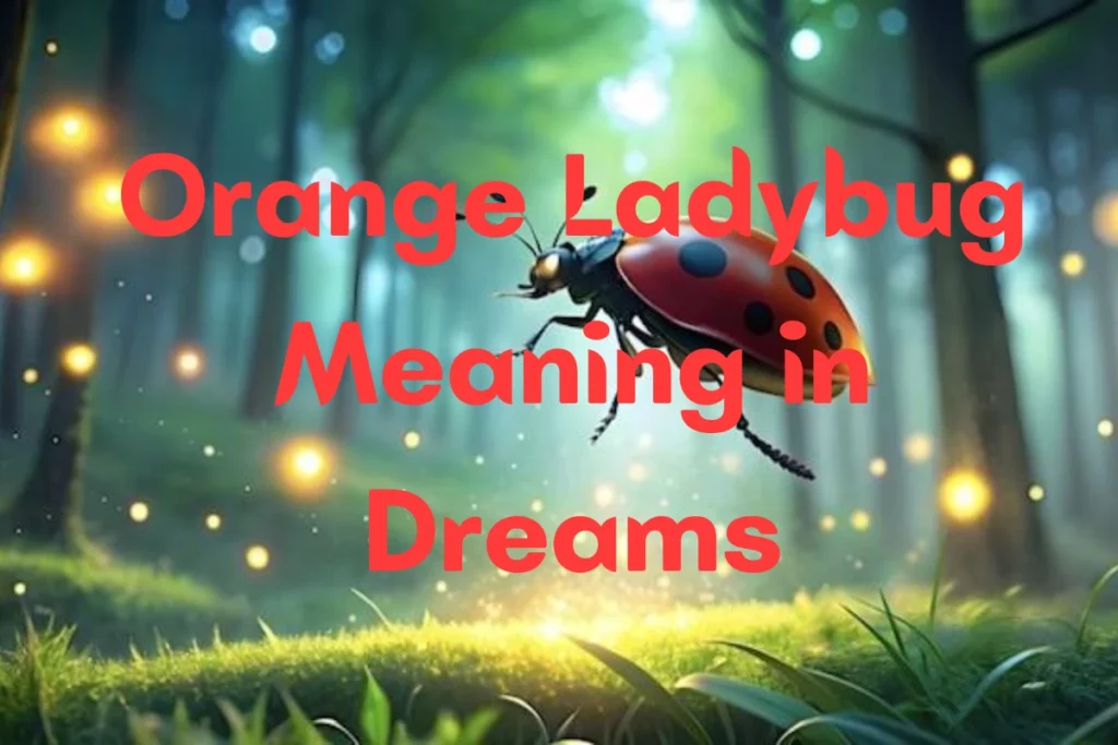 orange-ladybug-meaning-in-dreams