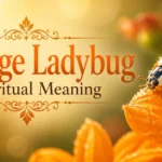 orange-ladybug-spiritual-meaning