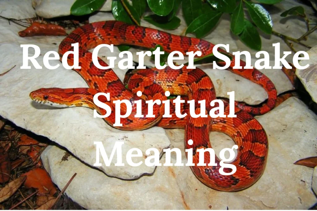 red-garter-snake-spiritual-meaning