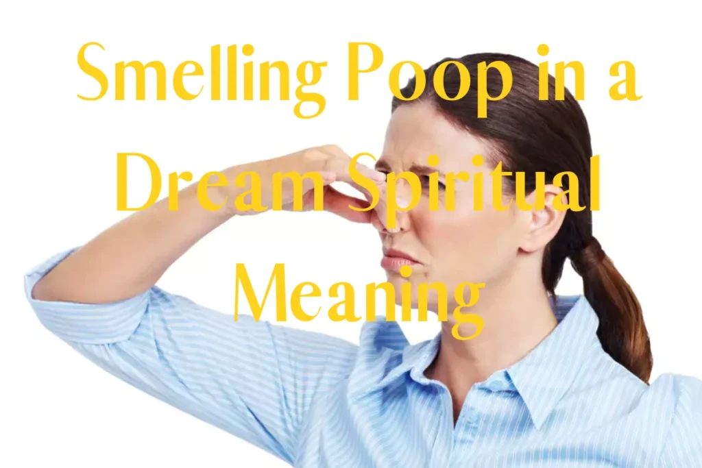 smelling-poop-in-a-dream-spiritual-meaning