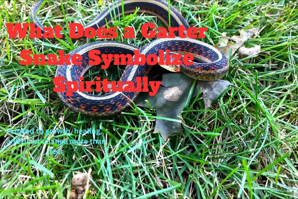 what-does-a-garter-snake-symbolize-spiritually