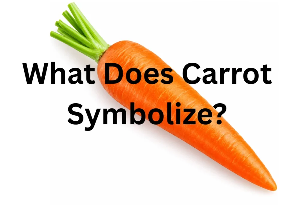 what-does-carrot-symbolize