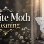White Moth Meaning: What Is the Universe Telling You? white-moth-meaning