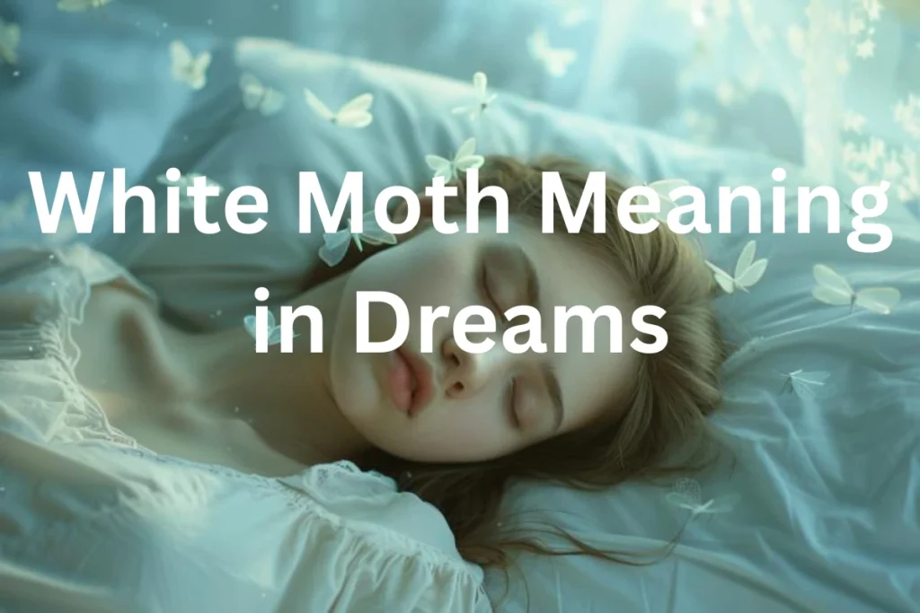 white-moth-meaning-in-dreams