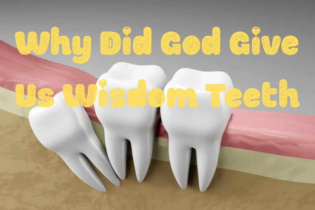 why-did-god-give-us-wisdom-teeth