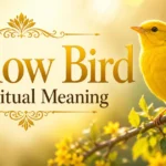 yellow-bird-spiritual-meaning