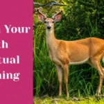 Deer In Your Path Spiritual Meaning: The Complete Guide Deer In Your Path Spiritual Meaning