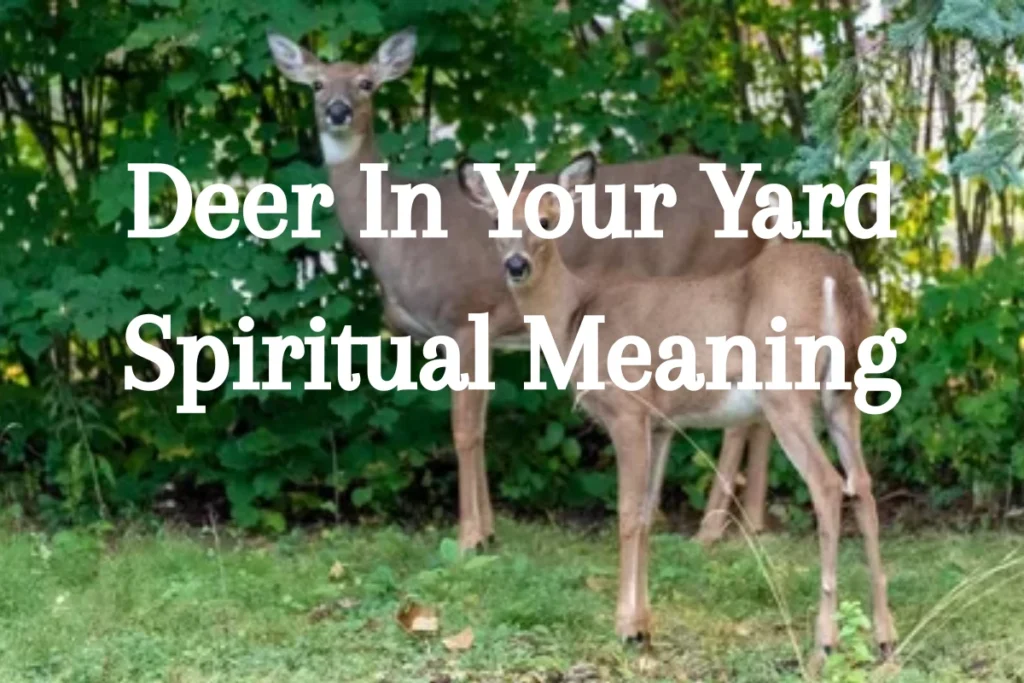 deer-in-your-yard-spiritual-meaning