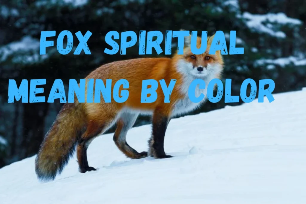 Fox Spiritual Meaning by Color