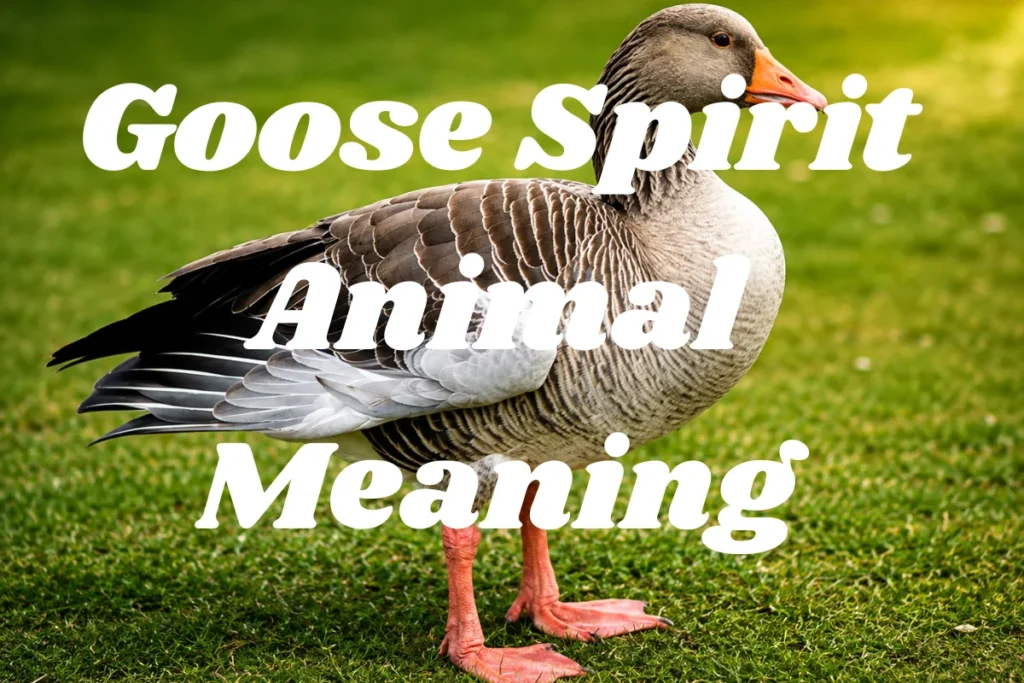 goose-spirit-animal-meaning