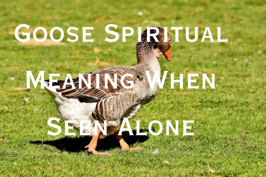 Goose Spiritual Meaning When Seen Alone