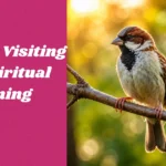Sparrow Visiting You Spiritual Meaning
