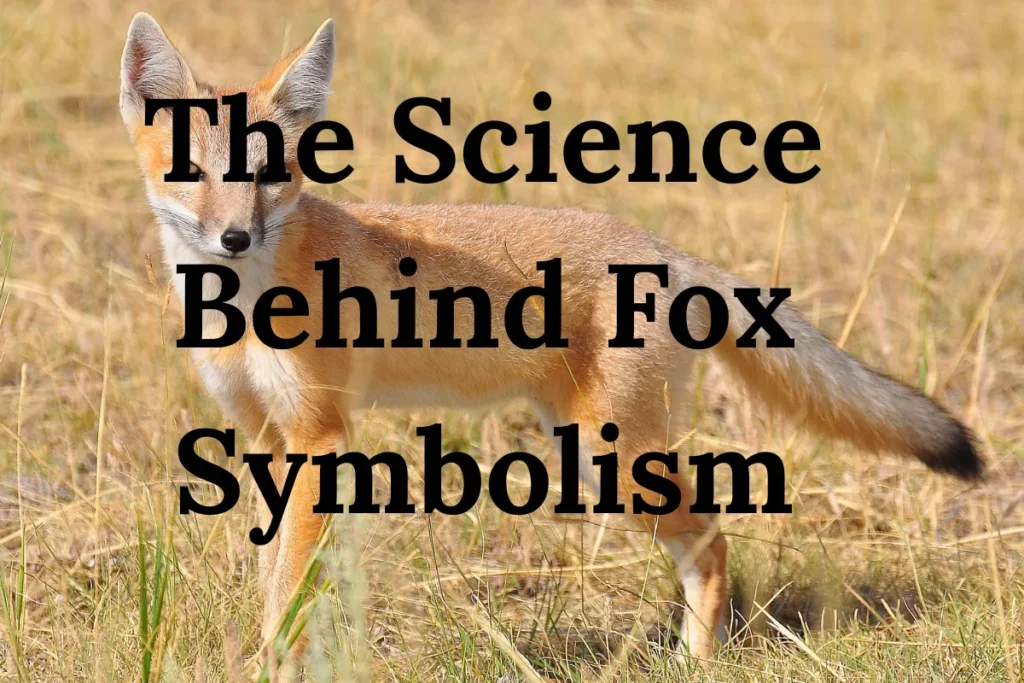 The Science Behind Fox Symbolism