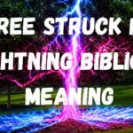 Tree Struck By Lightning Biblical Meaning: What God May Be Telling You Tree Struck By Lightning Biblical Meaning