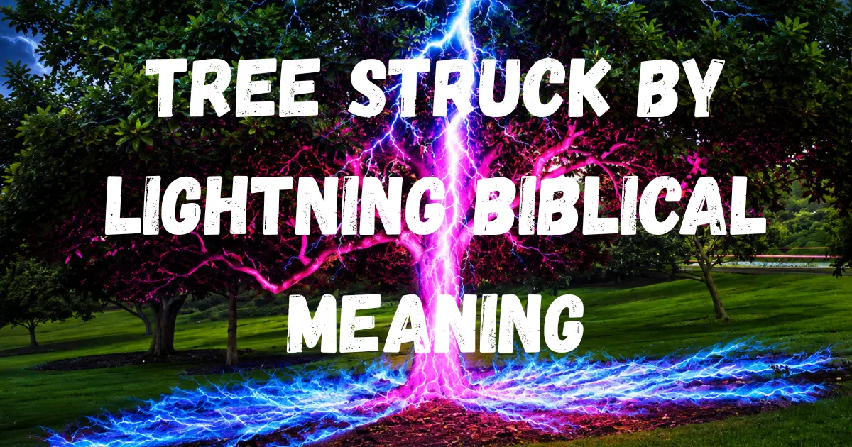 Tree Struck By Lightning Biblical Meaning