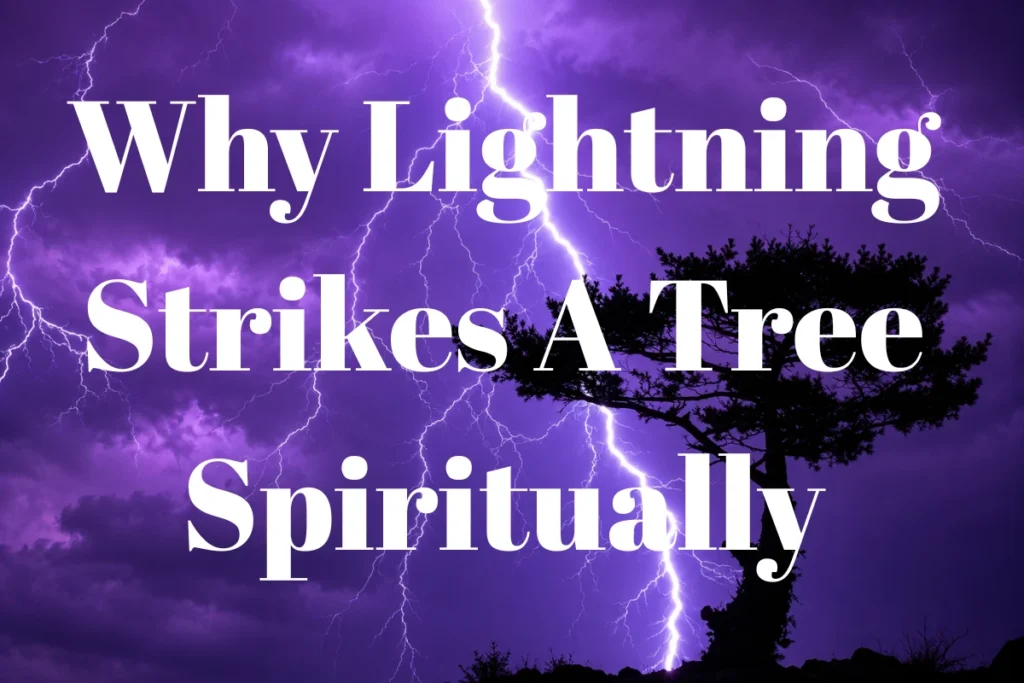 Why Lightning Strikes A Tree Spiritually