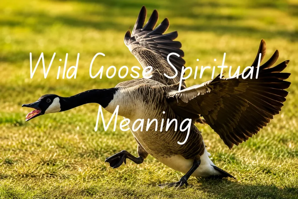 Wild Goose Spiritual Meaning